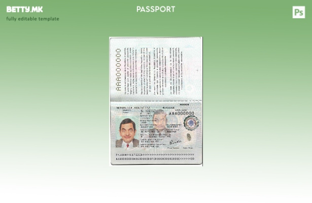 Шаблон за пасош на Аргентина во модерен стил